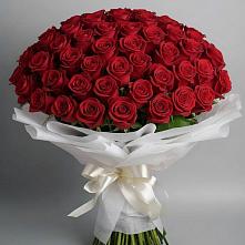 Букет 101 Красная роза Блэк Мэджик в Ленске