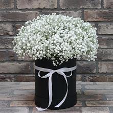 Цветочная композиция из Гипсофила в шляпной коробке в Ленске