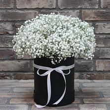 Цветочная композиция из Гипсофила в шляпной коробке в Ленске