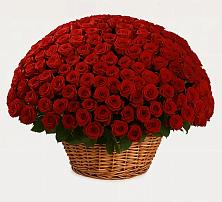 Премиум букет из: Розы в Ленске